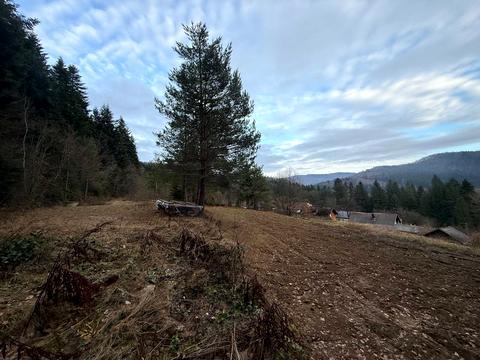 участок по адресу Лесная ул.