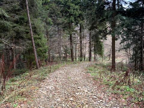 участок по адресу Лесная ул.