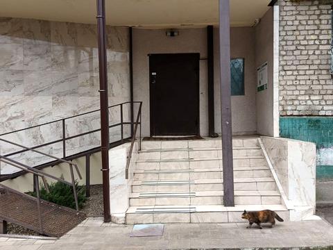 квартира по адресу Алексея Тихого ул. (Виборзька), 55/13