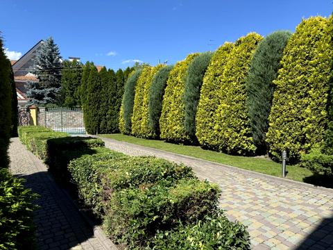 будинок за адресою с. Конопниця, Шептицького вул.