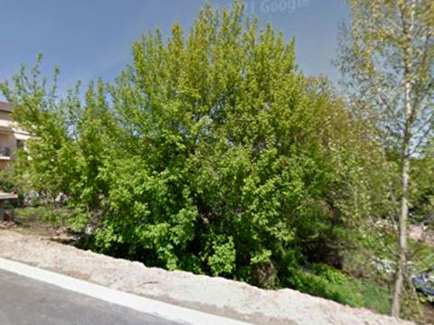 ділянка за адресою Бузька вул. (Єнісейська), 8