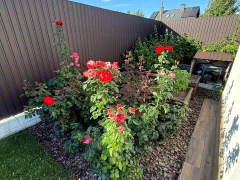 будинок за адресою Централна