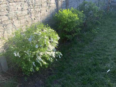 дом по адресу Заводська, 29