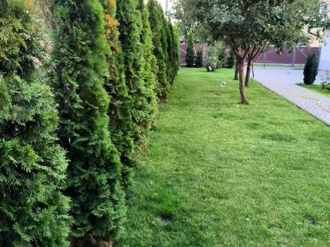 будинок за адресою Затишна