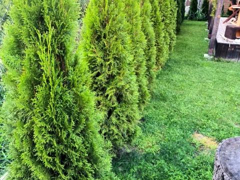 будинок за адресою Затишна