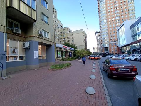 комерційна за адресою Левка Лук'яненка вул. (Маршала Тимошенка), 19