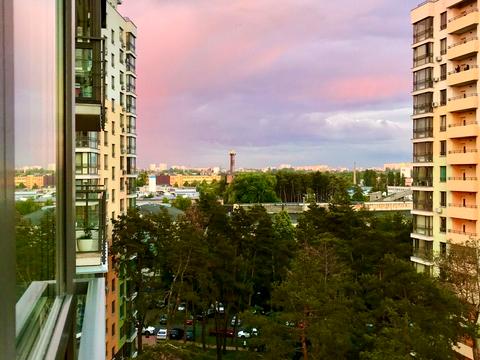 квартира по адресу Анатолия Петрицкого ул., 19-А