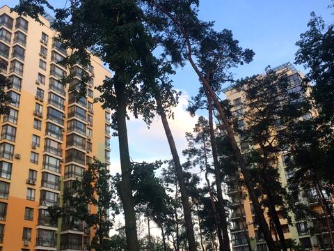 квартира по адресу Анатолия Петрицкого ул., 19-А