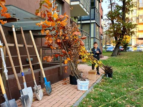 квартира по адресу Анатолия Петрицкого ул., 19-А
