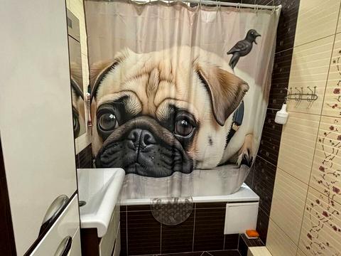 квартира за адресою с. Святопетрівське, Лесі Українки бульв., 4-А