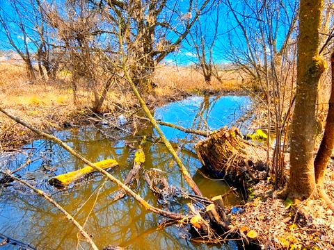 будинок за адресою провулок дружби, 9