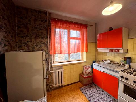 квартира по адресу Шафарика ул. (Рагузова), 10