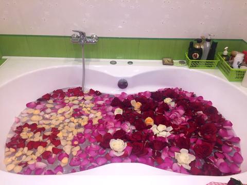 квартира за адресою Волошкова вул., 74