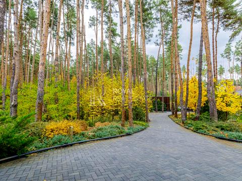 дом по адресу с. Гнедин, Центральная ул.