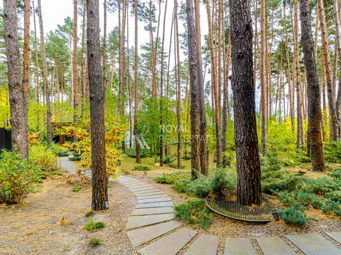 дом по адресу с. Гнедин, Центральная ул.
