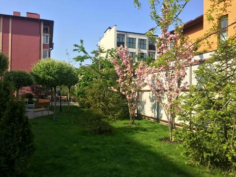 квартира за адресою Волошкова вул., 74