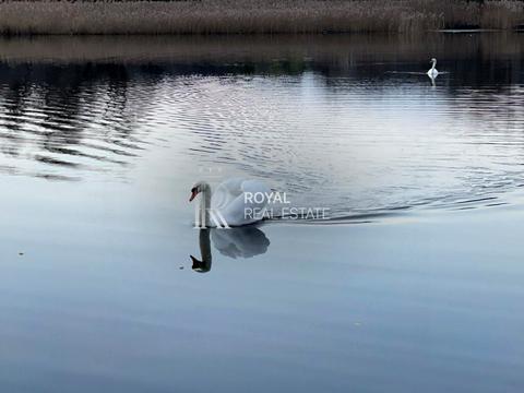 дом по адресу Озерна