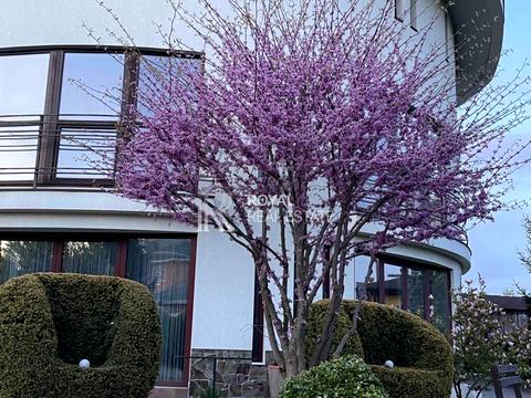 дом по адресу Озерна