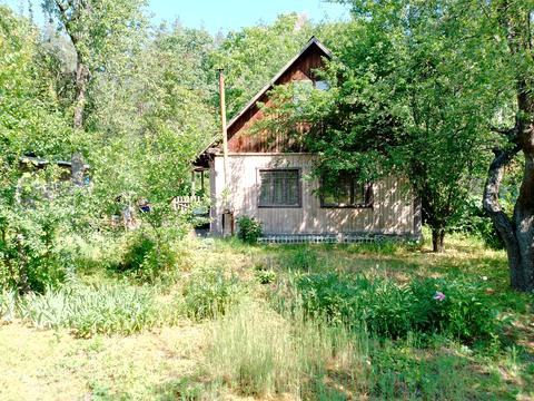 ділянка за адресою Синьоозерна вул.