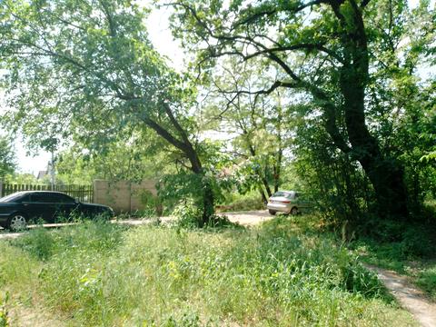 ділянка за адресою Синьоозерна вул.