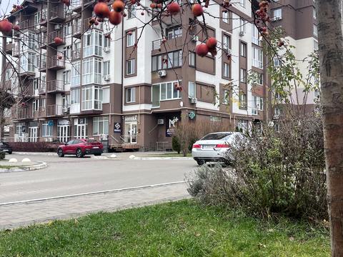 квартира за адресою Феодосія Печерського вул. (Піонерська), (Будинок)