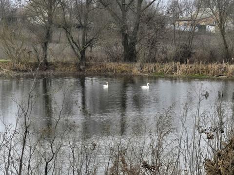 будинок за адресою Шкільна, 56Б