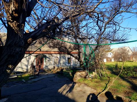 будинок за адресою Шевченко