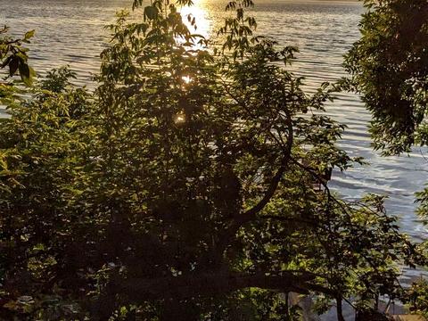 дом по адресу Гаванская ул.