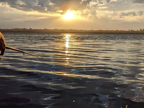 дом по адресу Гаванская ул.