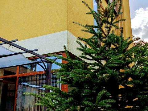 дом по адресу Гаванская ул.