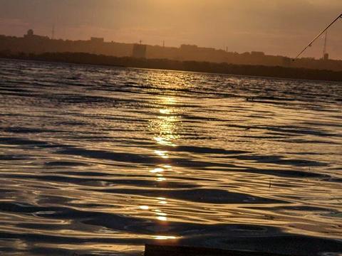 дом по адресу Гаванская ул.