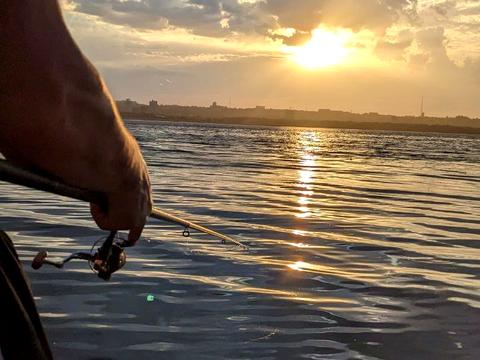 дом по адресу Гаванская ул.