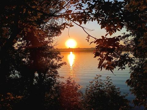 дом по адресу Гаванская ул.