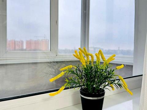 квартира за адресою Святослава Ріхтера вул. (Щорса), 148-А