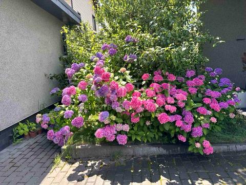 дом по адресу Фізкультурна ул.