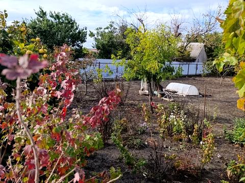 будинок за адресою с. Нова Дофінівка, Школьный переулок