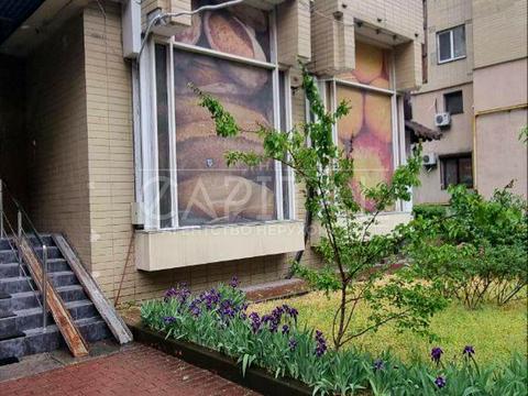 комерційна за адресою Левка Лук'яненка вул. (Маршала Тимошенка), 19