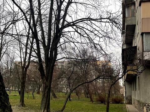 квартира за адресою Леся Курбаса просп., 12-А