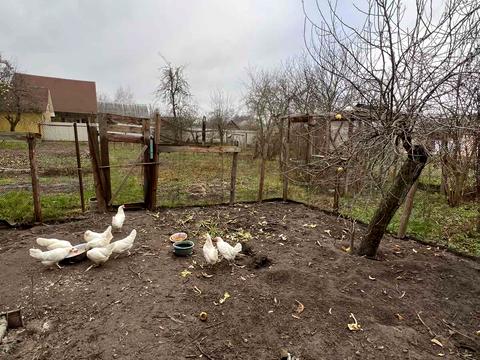 будинок за адресою Петлюри, 1