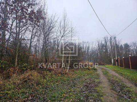 участок по адресу Грибна