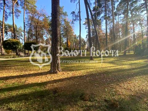 квартира за адресою Матвія Донцова вул. (Тургенєвська), 24