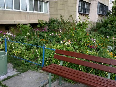 квартира за адресою Олександра Кошиця вул., 9