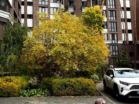 квартира по адресу Великая Кольцевая ул., (Будинок 1)