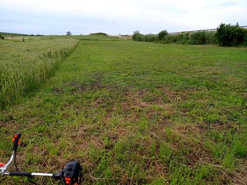 ділянка за адресою 