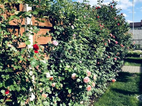 будинок за адресою Бучанський район