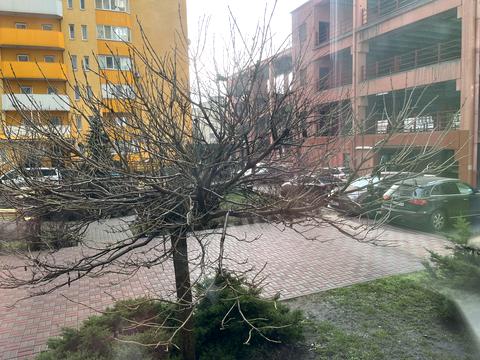 квартира по адресу Юлии Здановской ул. (Ломоносова), 36-В