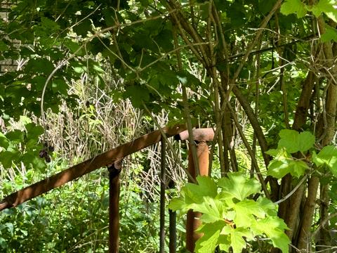 дом по адресу с. Княжичи, Ялинка