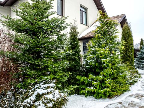 дом по адресу Некрасова ул. (Некрасова)