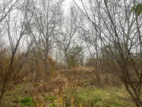 ділянка за адресою Кутовий провулок, 5