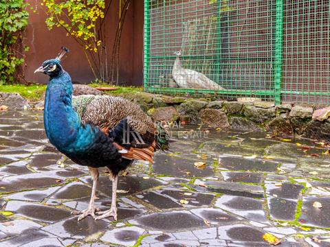 будинок за адресою Чумацький Шлях вул., 114